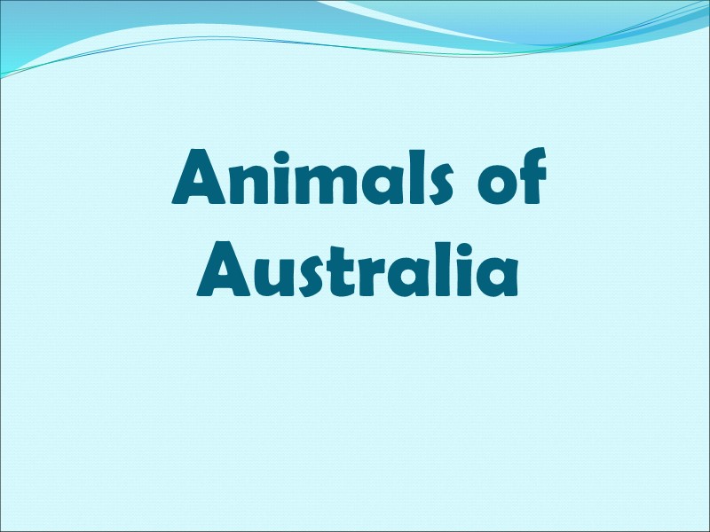 Animals of Australia